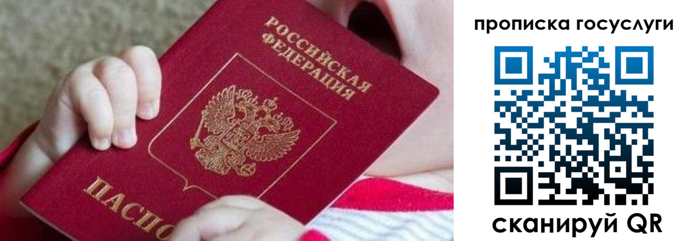 временная регистрация госуслуги в Сланцах